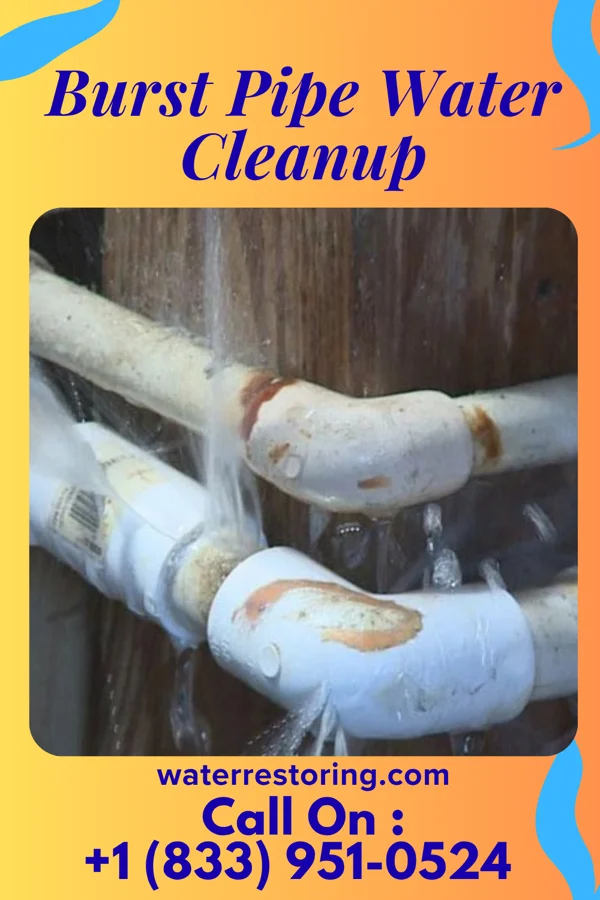 Burst Pipe Water Cleanup in Cary, IL