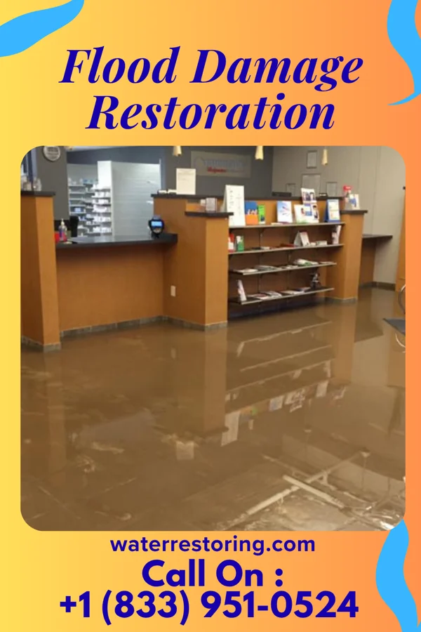 Flood Damage Restoration in Cary, IL