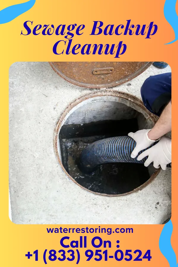 Sewage Backup Cleanup in Cary, IL